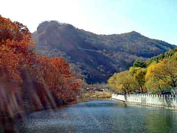 澳门精准正版免费大全14年新，营口中板